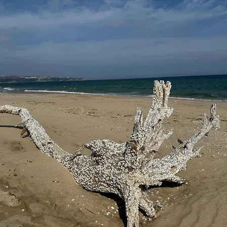 Stunning Seaview - 50m To The Apartment *