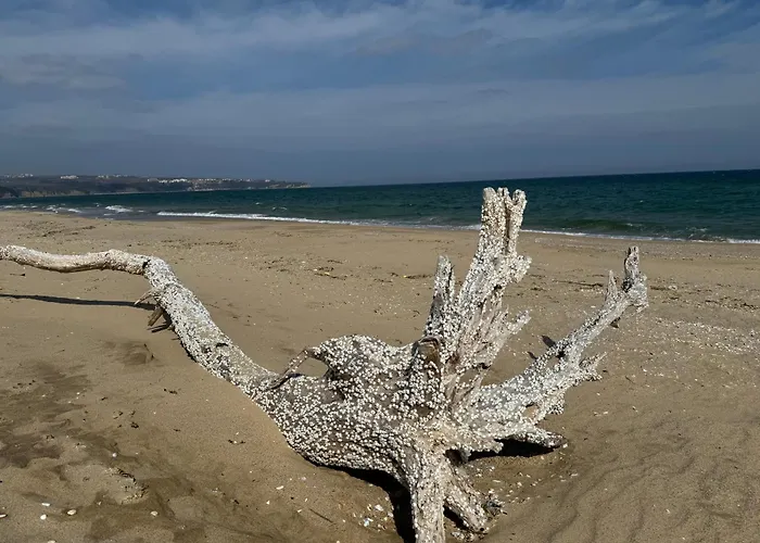 Stunning Seaview - 50m To The Lejlighed *